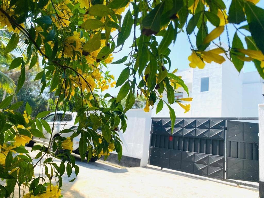 Twinstop Villa Minuwangoda Ngoại thất bức ảnh