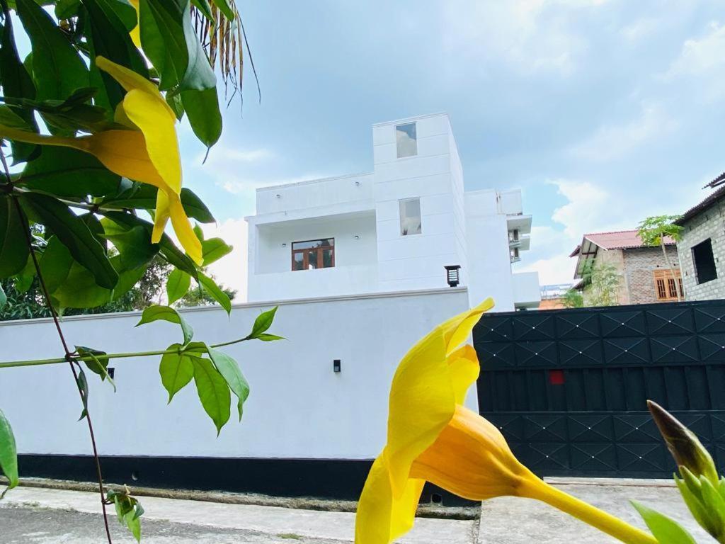 Twinstop Villa Minuwangoda Ngoại thất bức ảnh