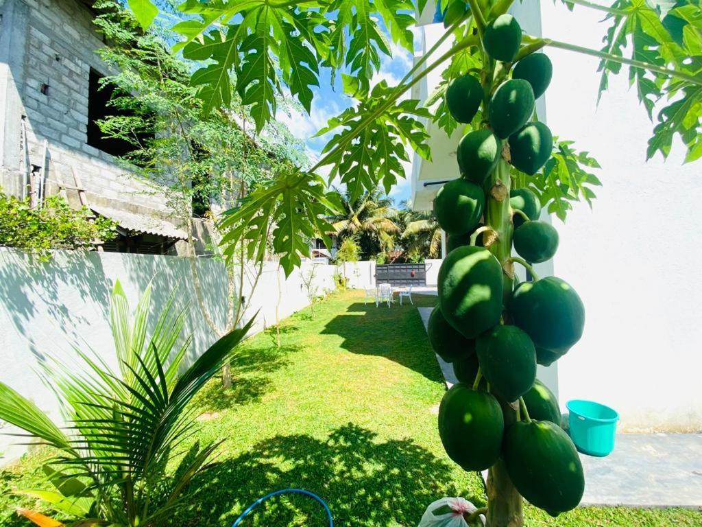 Twinstop Villa Minuwangoda Ngoại thất bức ảnh